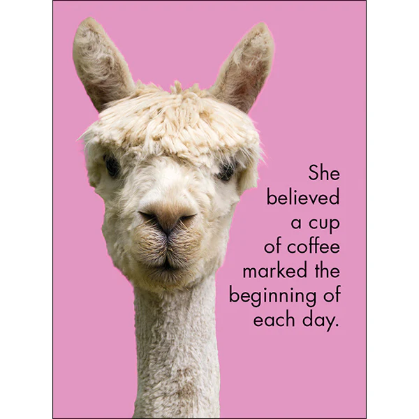 Affirmation 24 Cards - Llama Nirvana - DLN - Image 5