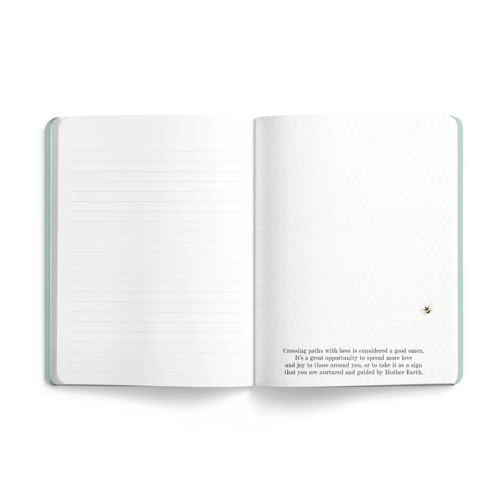 Affirmations 2025 Bee Journal - Image 2
