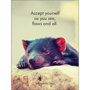 Affirmations - 24 Affirmations Cards - Awesome Aussies - DAA - Image 2