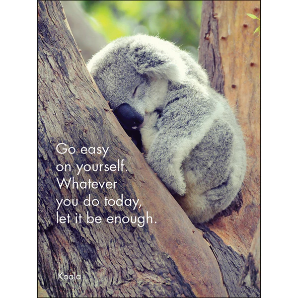 Affirmations - 24 Affirmations Cards - Awesome Aussies - DAA - Image 3