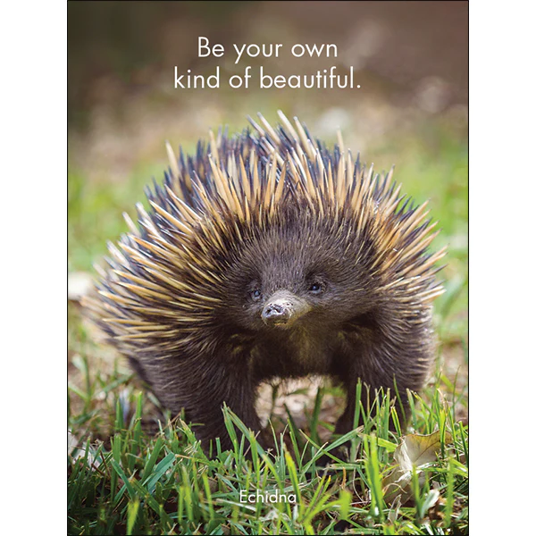 Affirmations - 24 Affirmations Cards - Awesome Aussies - DAA - Image 4