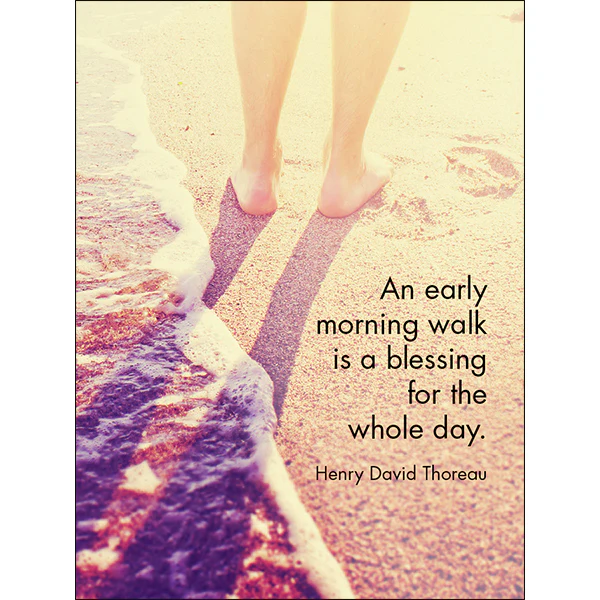 Affirmations 24 Cards - Daily Blessings - DDB - Image 6