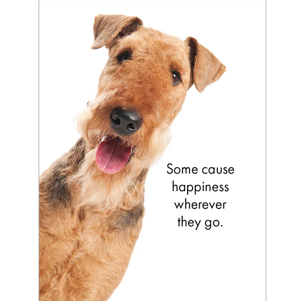 Affirmations - 24 Affirmations Cards - Live Love Bark - DBA - Image 3