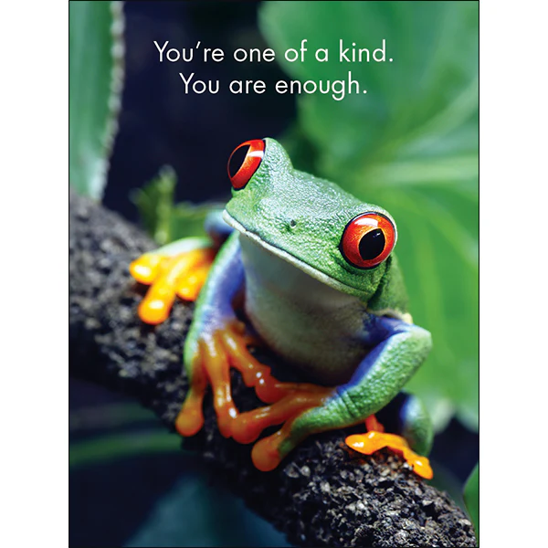 Affirmations 24 Cards - You're the Best - DYT - Image 5