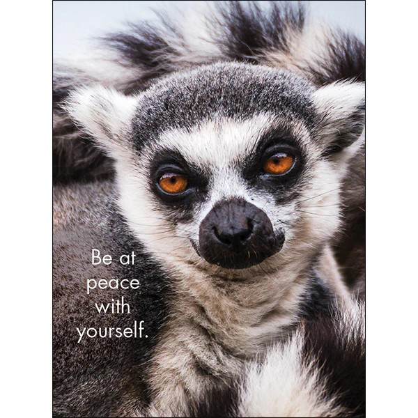 Affirmations 24 Cards - You're the Best - DYT - Image 6