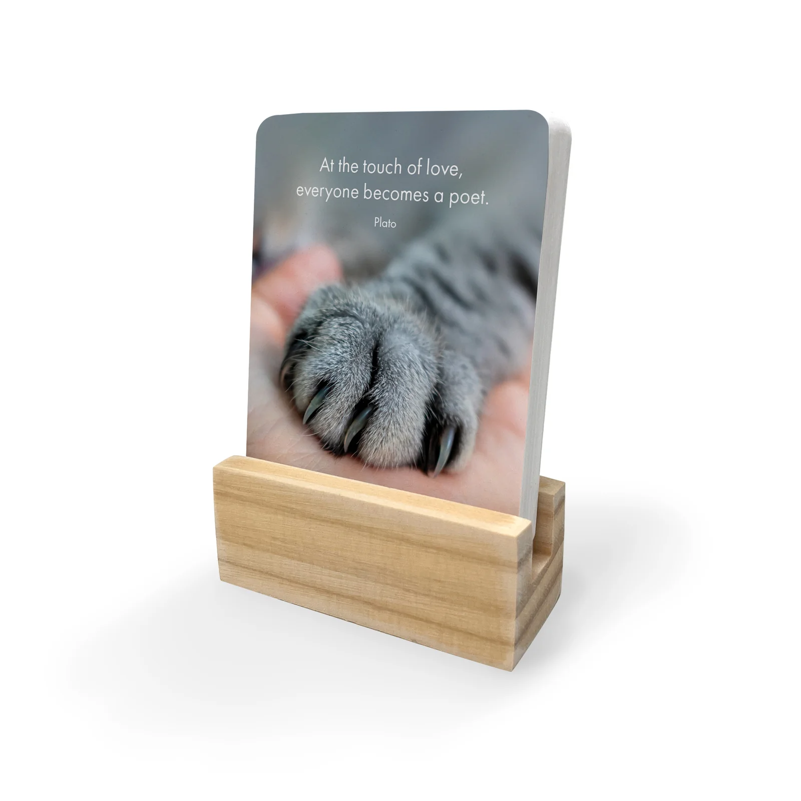 Affirmations - DGC - The Great Catsby - 24 Animal affirmation cards + stand - Image 3
