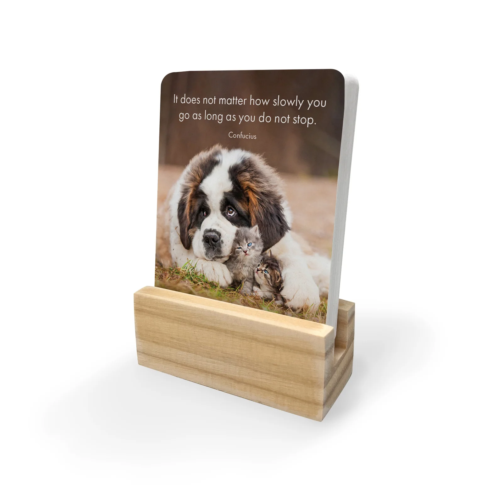 Affirmations - Little Paws - 24 Animal affirmation cards + stand - Image 2