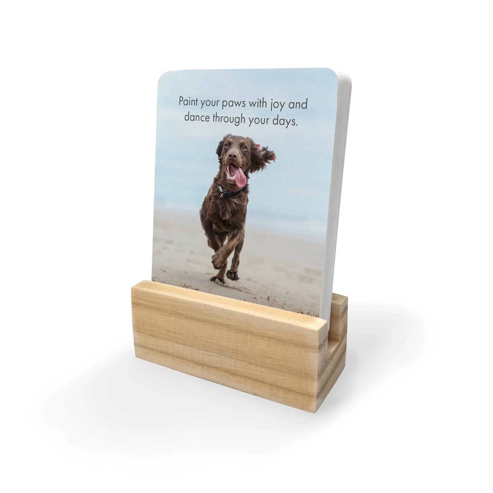 Affirmations - Pupparazzi - 24 Animal affirmation cards + stand - Image 2