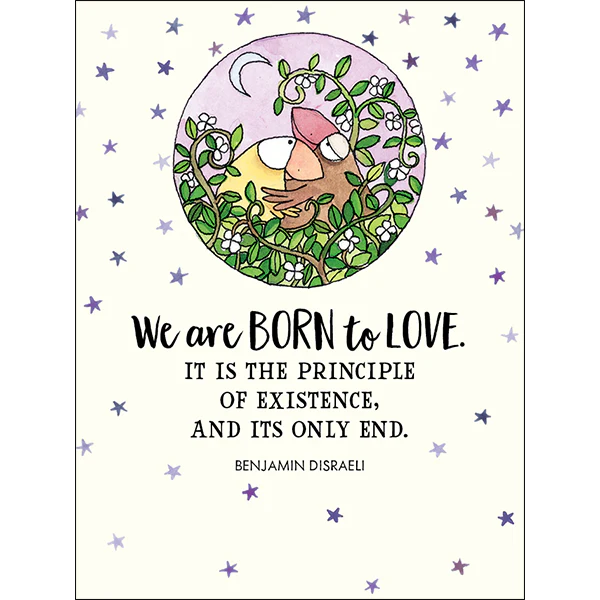 Affirmations -Twigseeds 24 Cards - A Box of Birds - TLA002 - Image 2