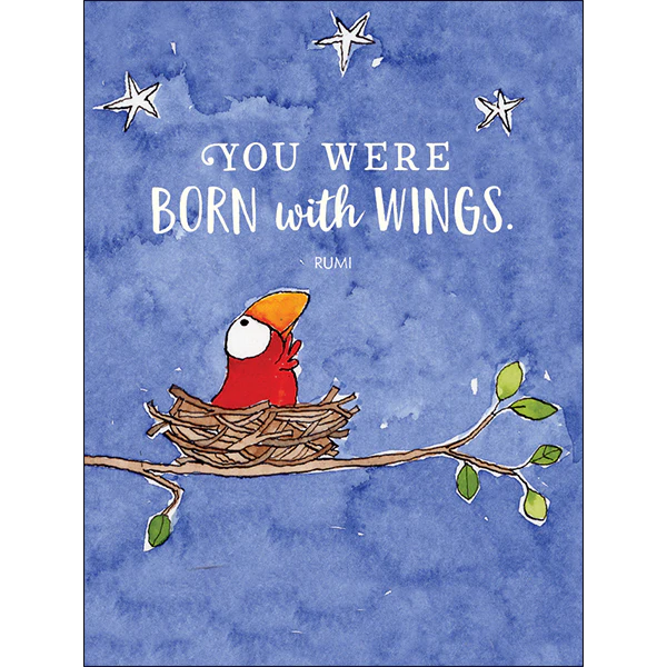 Affirmations -Twigseeds 24 Cards - A Box of Birds - TLA002 - Image 4
