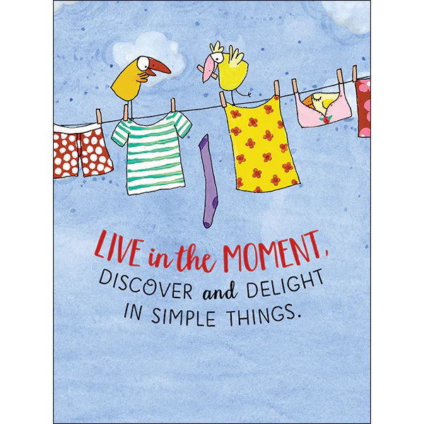 Affirmations -Twigseeds 24 Cards - A Box of Birds - TLA002 - Image 5