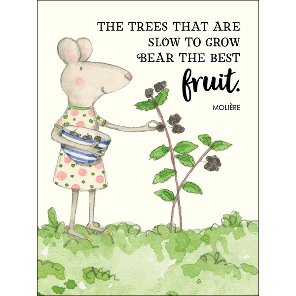 Affirmations -Twigseeds 24 Cards - Seeds of Truth - TLA001 - Image 2