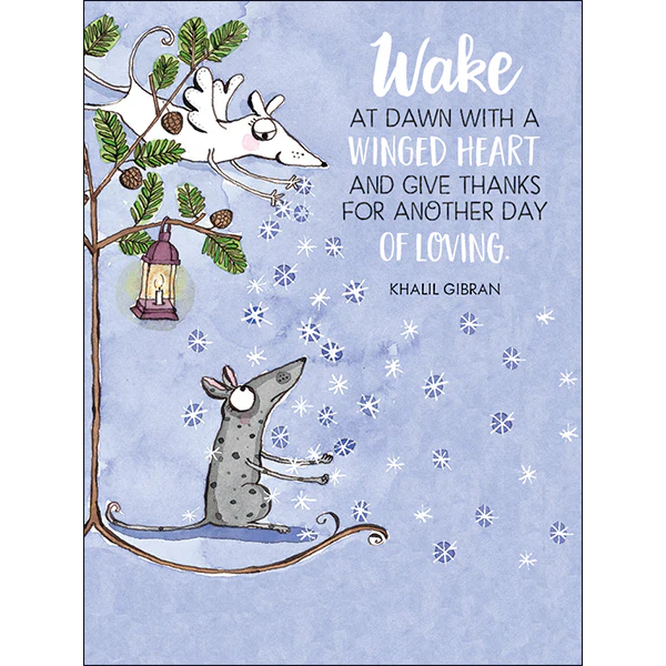Affirmations -Twigseeds 24 Cards - Up The Garden Path - DGP - Image 4