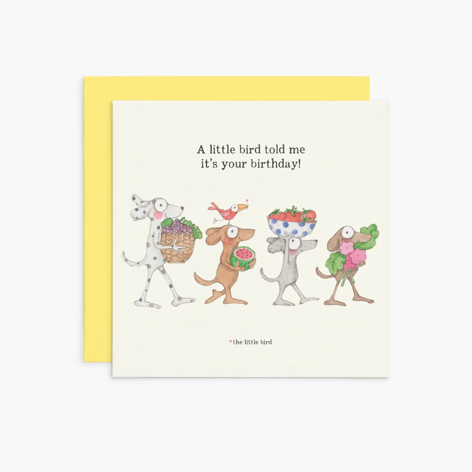 Affirmations-Twigseeds Birthday Card - A little Bird-K365