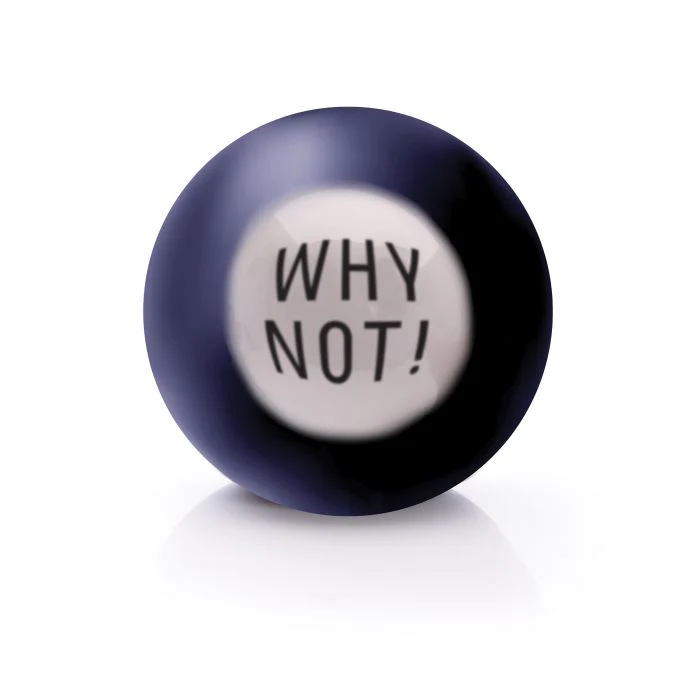 THE EXECUTIVE COLLECTION DECISION MAKER STRESS BALL - Image 4