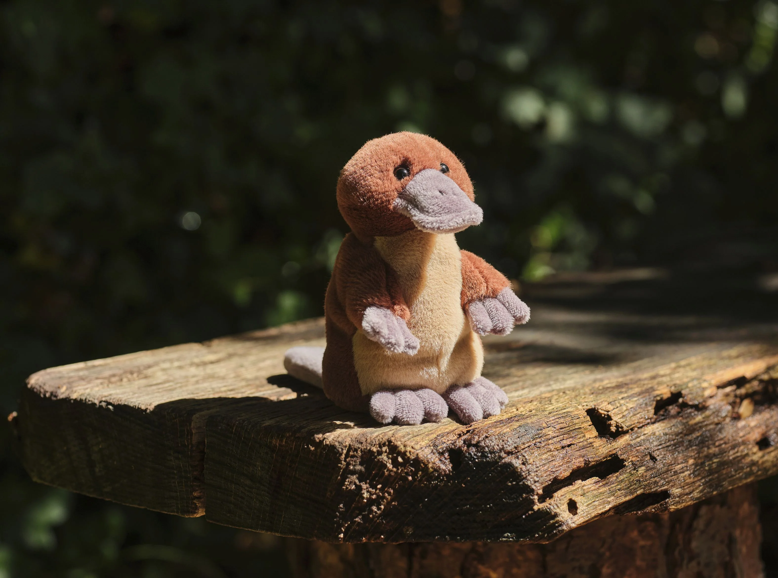 Cuddle Cubs By Charlie Bears Duck Billed Platypus - Image 4