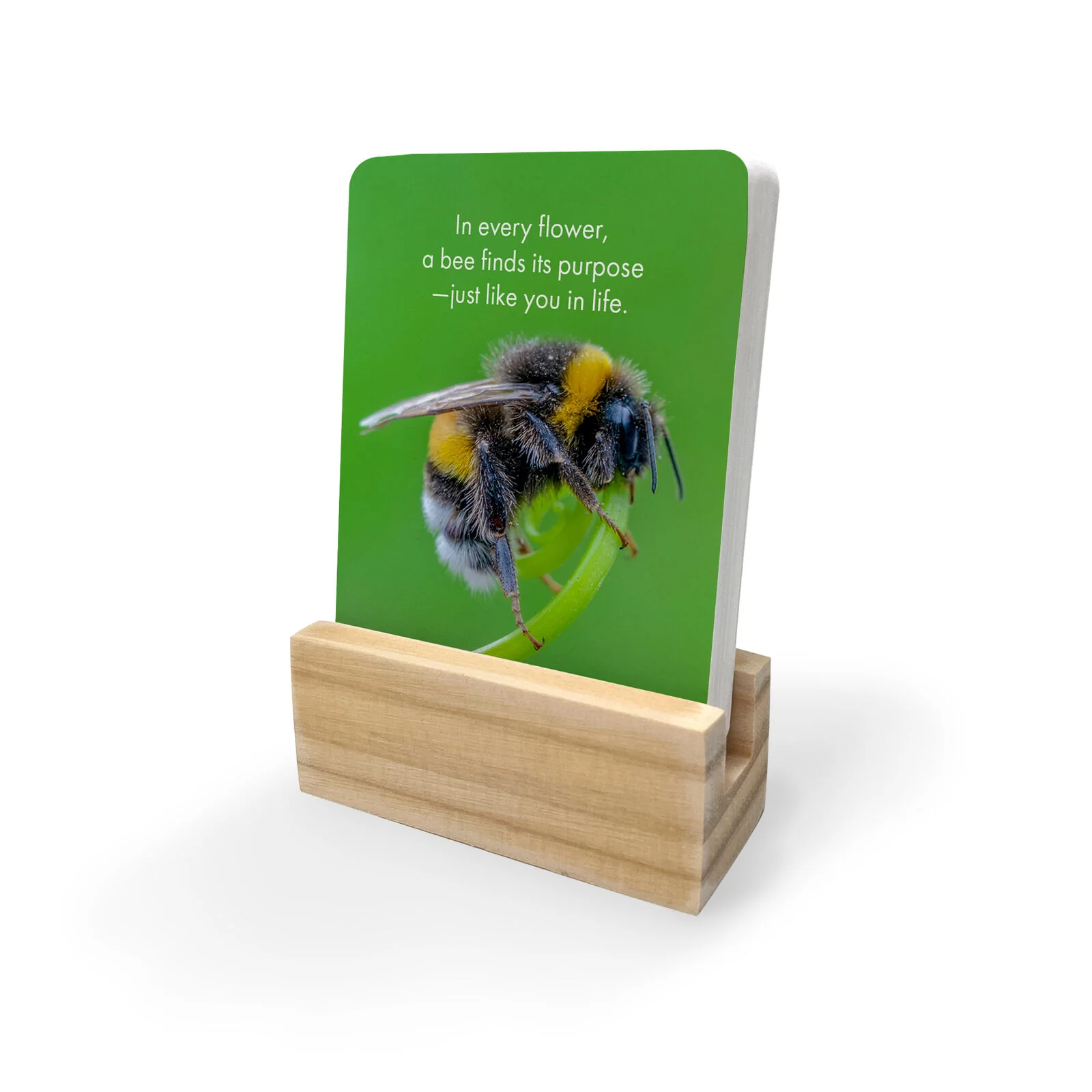 DBV - Believe in Yourself - 24 Animal affirmation - Image 2