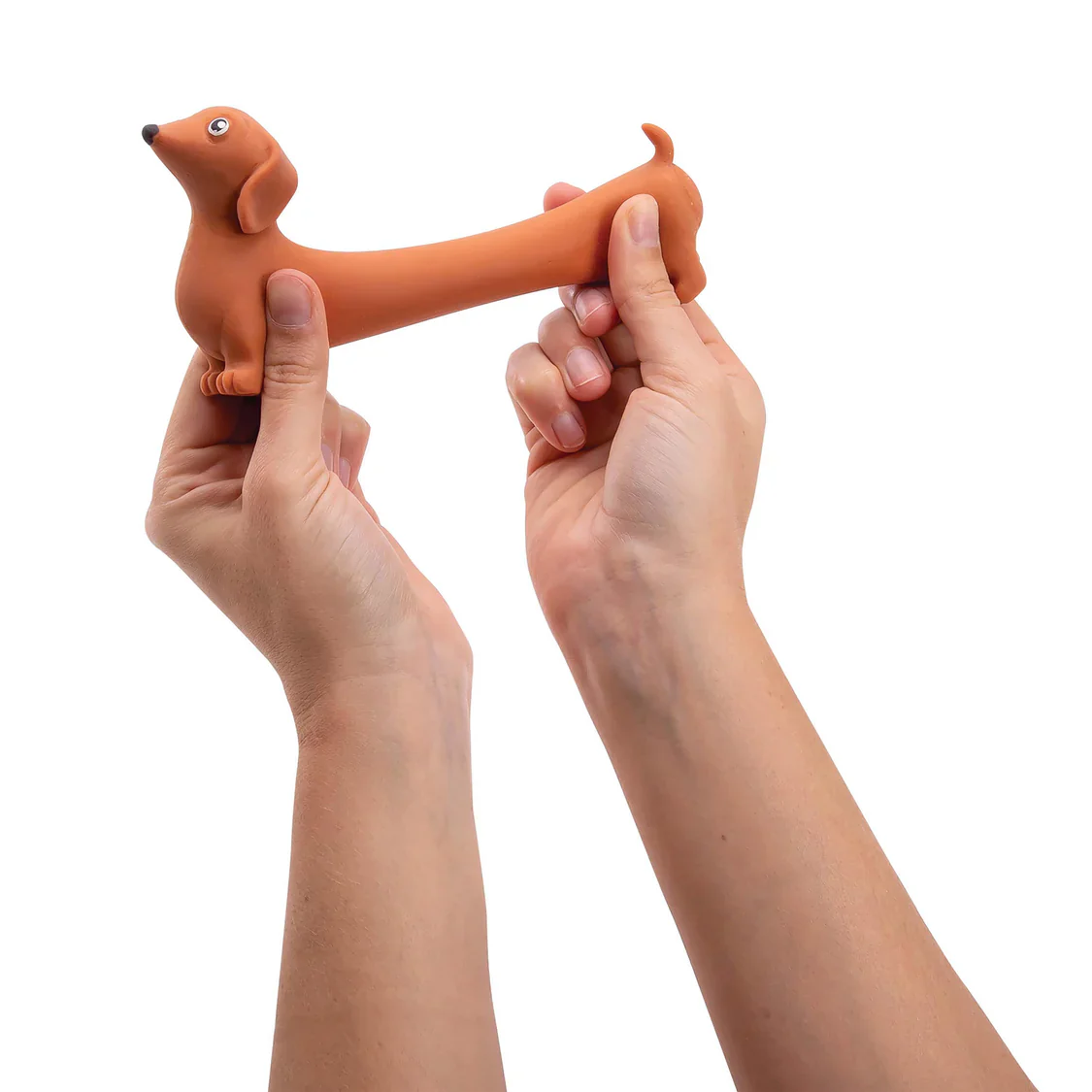 Discovery Zone Stretchy Sausage Dog - Image 3