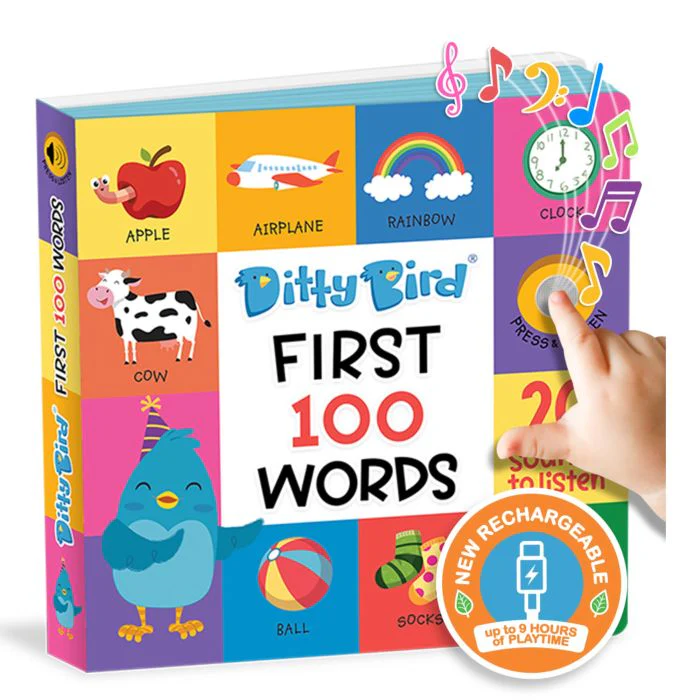 Ditty Bird First 100 Words Multi-Coloured 16x2x16cm
