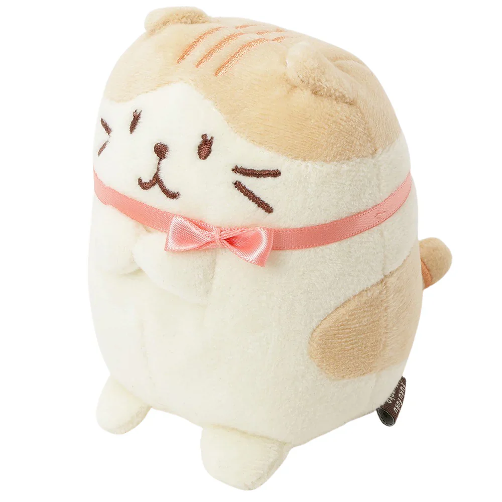 Hapins Kitten Medium Scottish Fold - Image 2