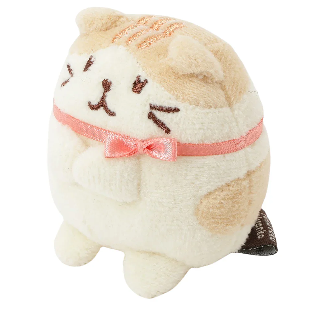 Hapins Kitten Small Scottish Fold - Image 2