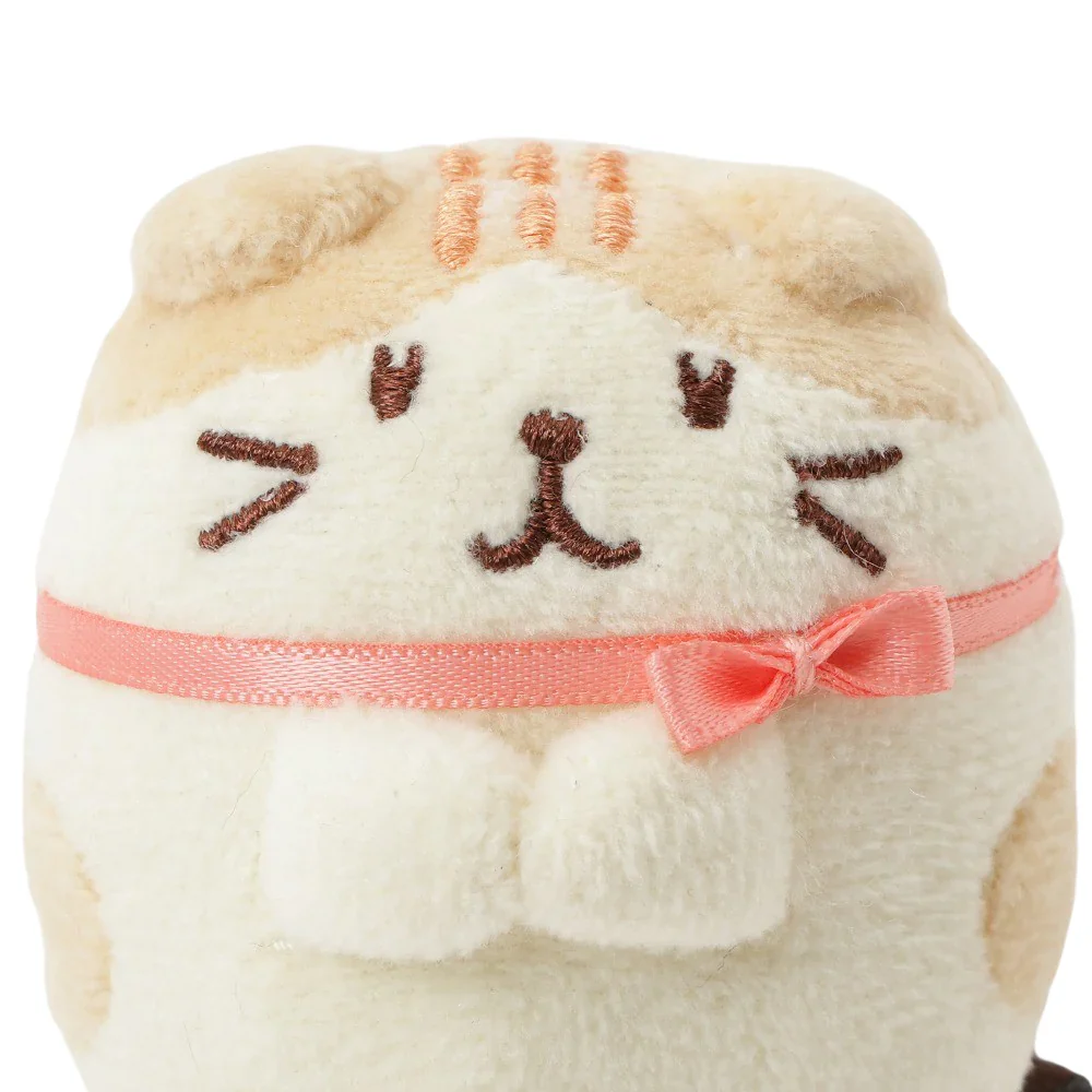 Hapins Kitten Small Scottish Fold - Image 4