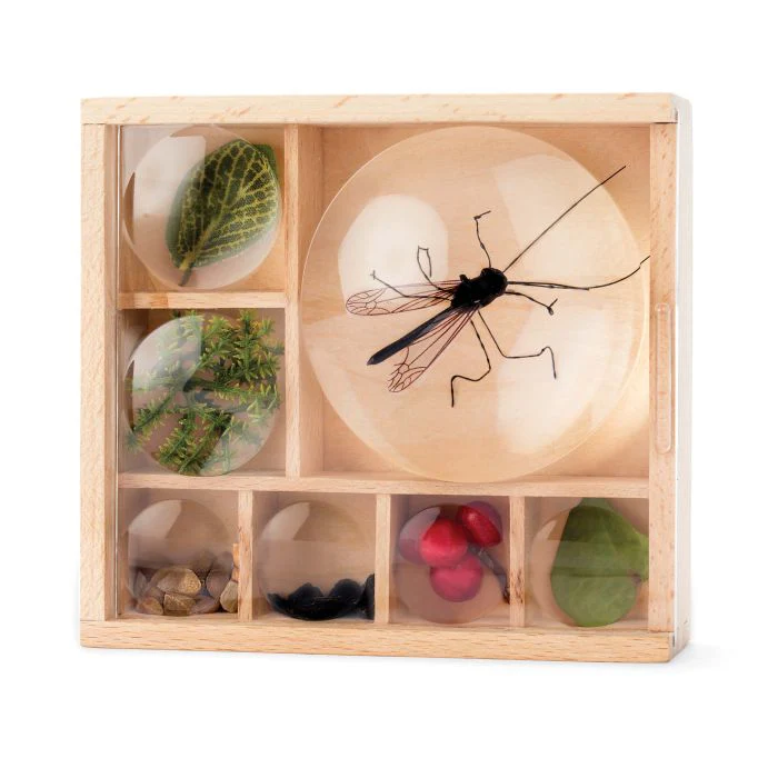 Kikkerland Great Outdoors - Bug Box Wood 11.7x10.8x3.5cm - Image 2