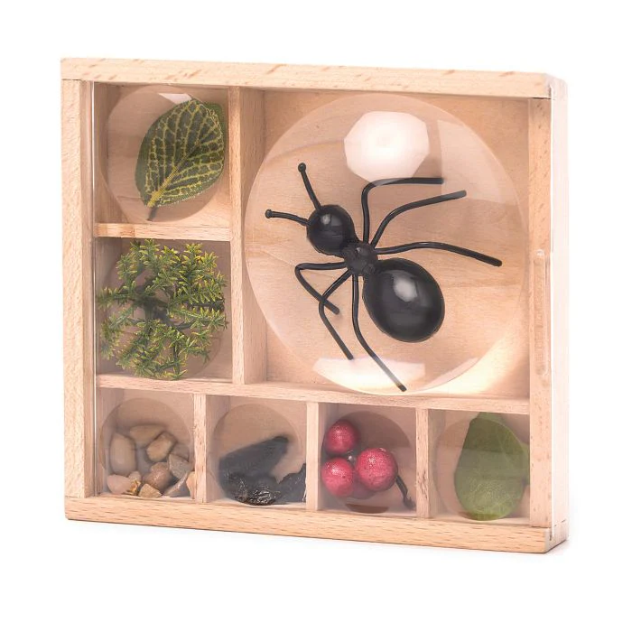 Kikkerland Great Outdoors - Bug Box Wood 11.7x10.8x3.5cm - Image 3