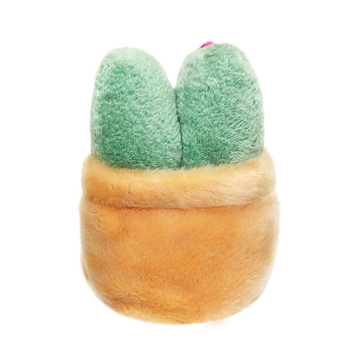 Palm Pal Seyla Scculent 13cm - Image 3