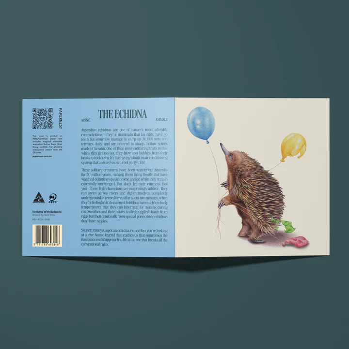 Papernest Echidna With Balloons Card - Image 2
