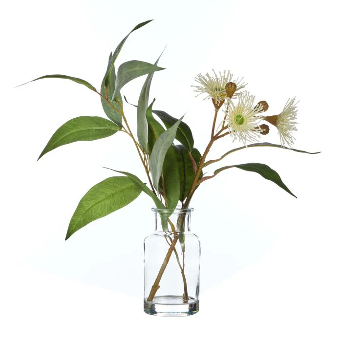 Rogue Eucalyptus Wattle Mix-Specimen Bottle 23x26x33cm - Image 2