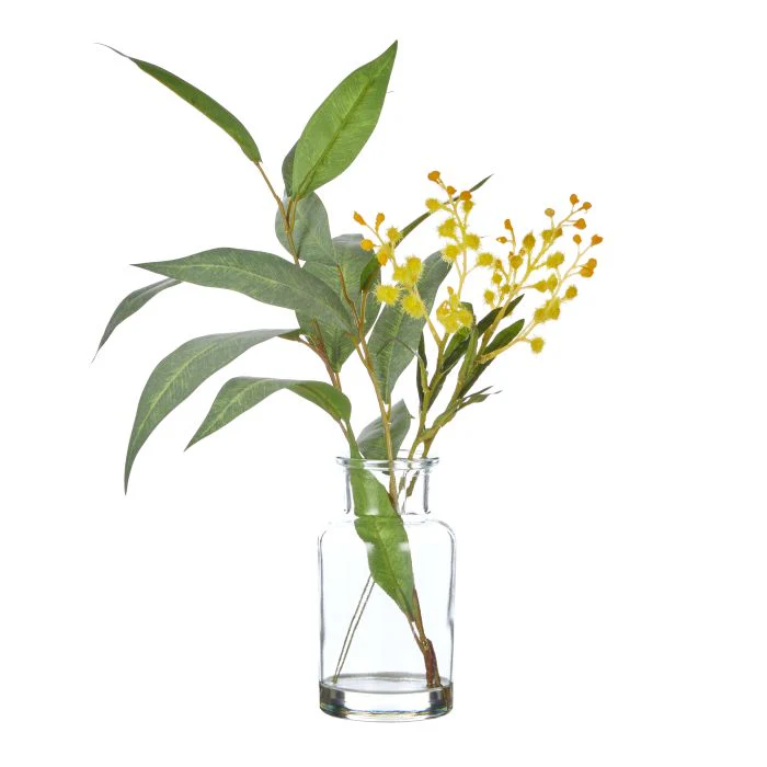 Rogue Eucalyptus Wattle Mix-Specimen Bottle 23x26x33cm - Image 3